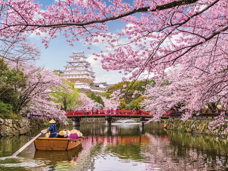 Les joyaux culturels du Japon