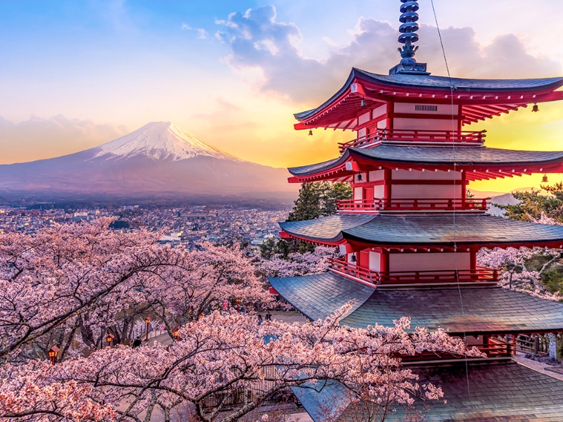 L'essentiel du Japon - Circuit en français