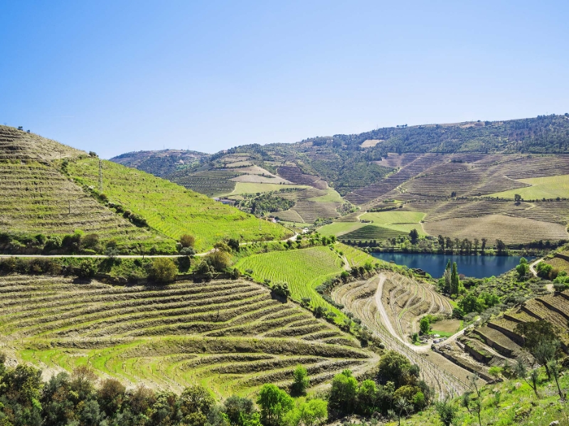 Douro Valley Journey